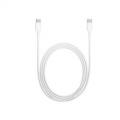 Apple Cavo USB-C 2m Charge cable